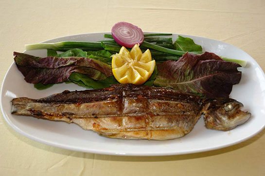 Alabalık Kızartma Tarifi ve Malzemeleri